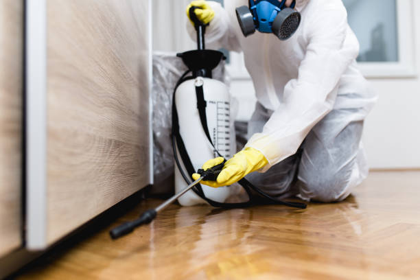 Best Local Pest Control Services  in Mariemont, OH