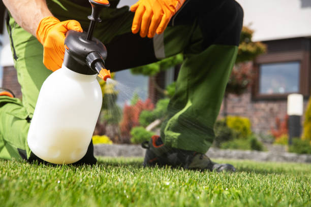 Best Emergency Pest Control  in Mariemont, OH
