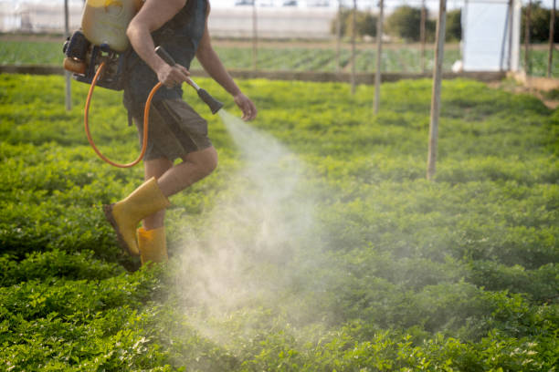 Pest Control for Restaurants in Mariemont, OH