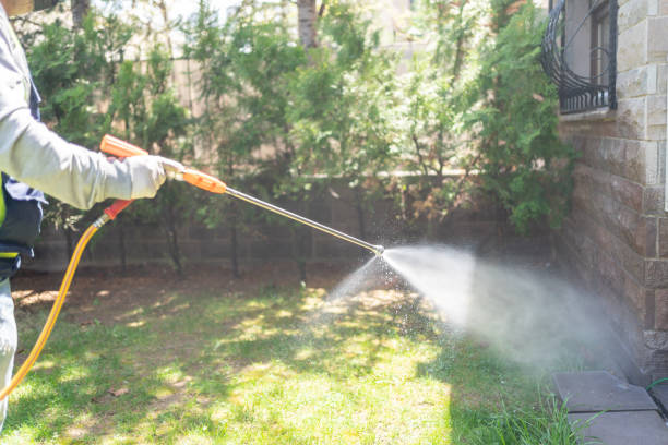 Bird Control in Mariemont, OH