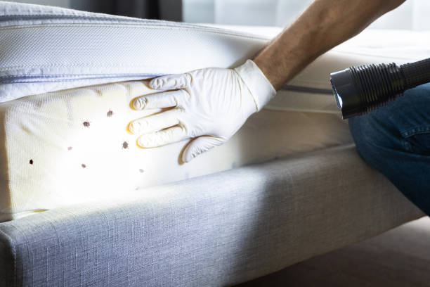 Best Pest Control for Businesses  in Mariemont, OH